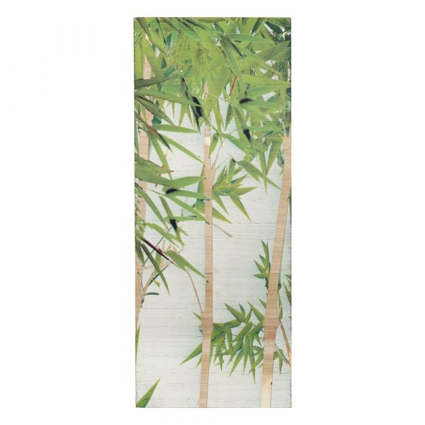 Cuadros naturaleza modernos bambú, set de 3 120 cm IX106681