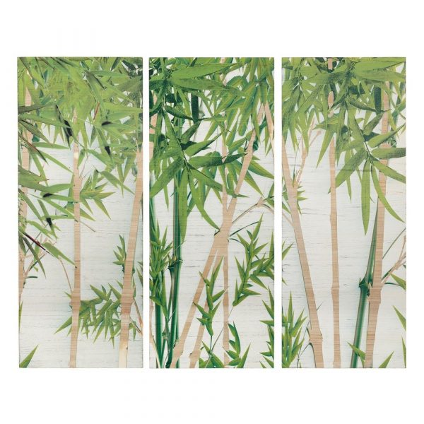 Cuadros naturaleza modernos bambú, set de 3 120 cm IX106681